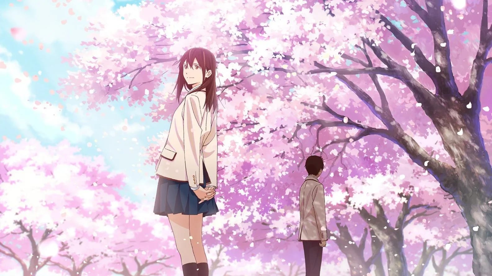 Feature image for tag I want To Eat Your Pancreas