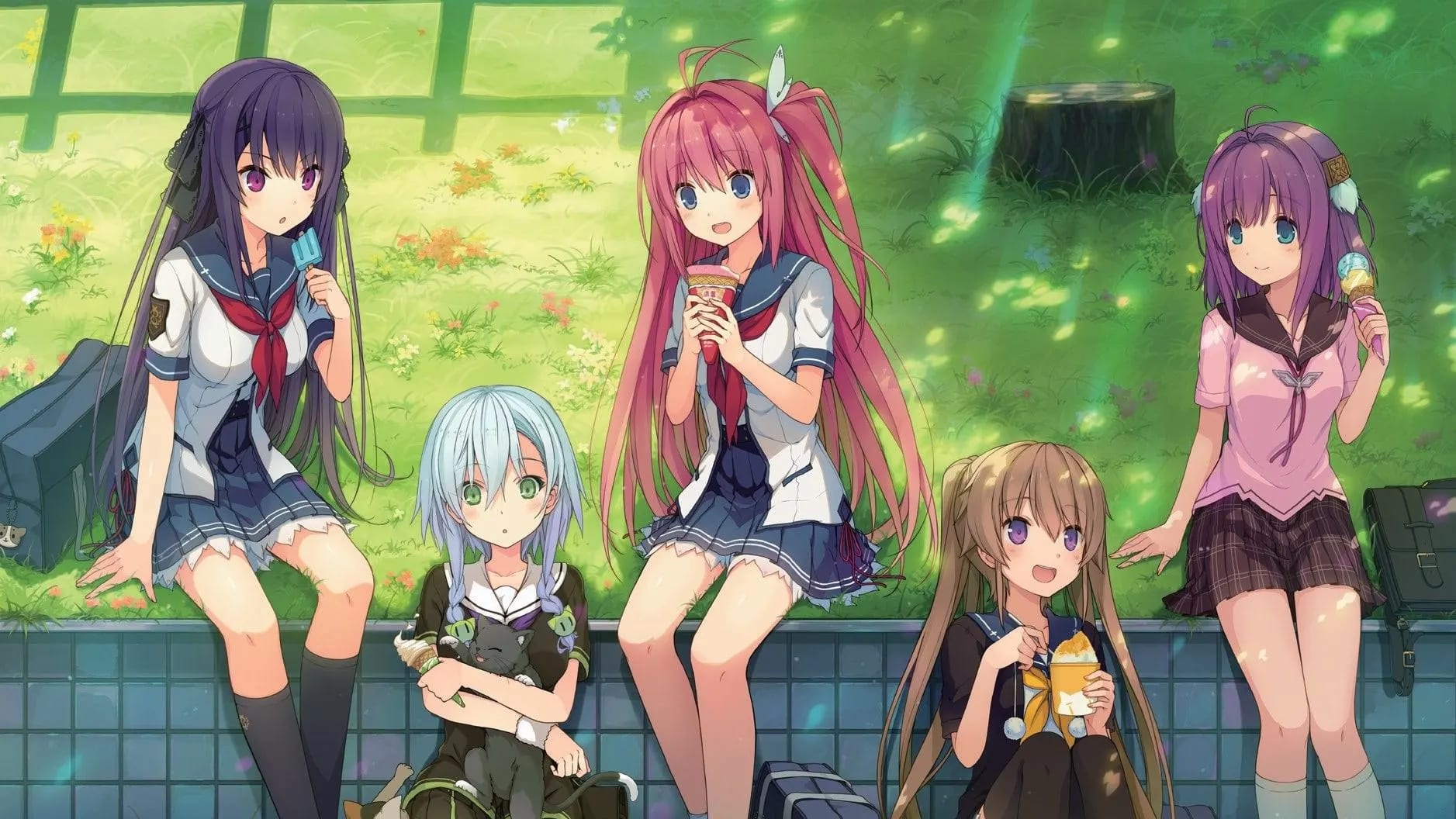 Aokana and the girls feature image